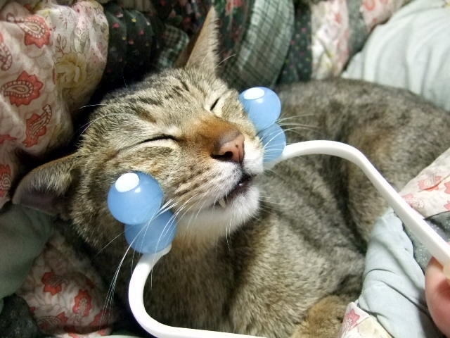 【小顔になるテク3つ】エラをほぐして減らす方法 1dd910ba6209fe82745514ff2d603491_s 【小顔になるテク3つ】エラをほぐして減らす方法