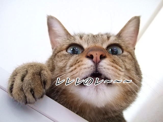 鼻毛って脱毛できるの?カットするだけではダメなの? 7c8985e57d5a2c51a399531054fe0298_s 鼻毛って脱毛できるの?カットするだけではダメなの?