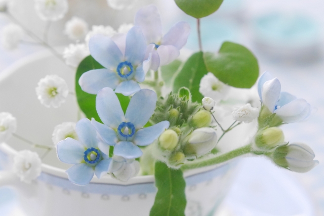 夏に気をつけたい美容情報 cac9ec2ab0fab21f8b19226c56fc67b1_s 夏に気をつけたい美容情報